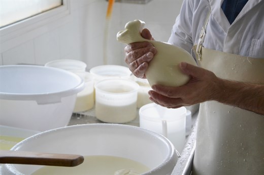 Artisanal Cheese-Making Workshops