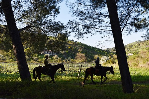 Horseback Riding