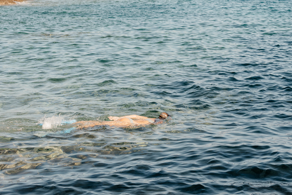 Snorkelling in Pristine Waters
