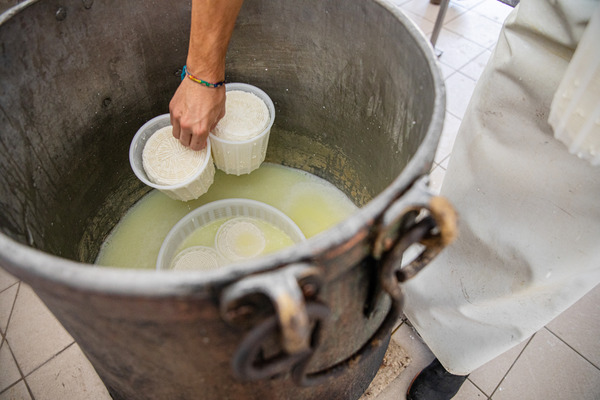 Artisanal Cheese-Making Workshops