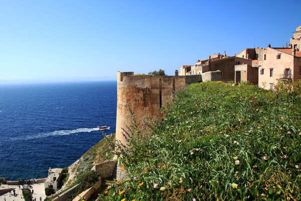 Private Guided Tours