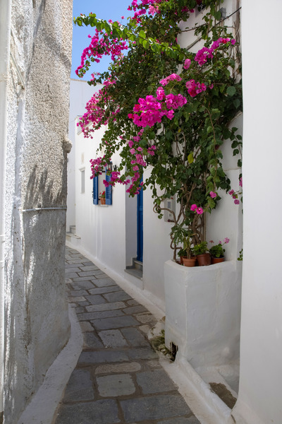 Private Guided Tours