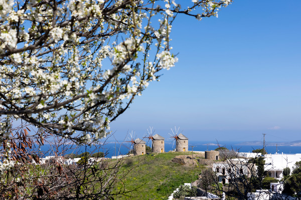 Guided City Walking Tours