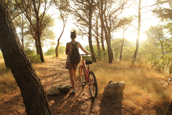 Scenic Bike Tours & Rentals