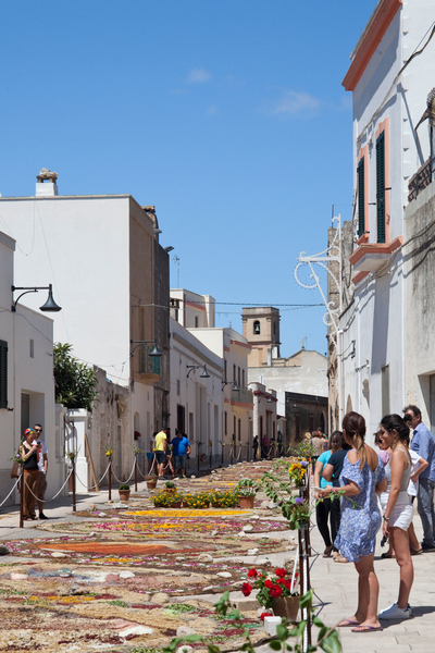Local Festivals & Seasonal Celebrations