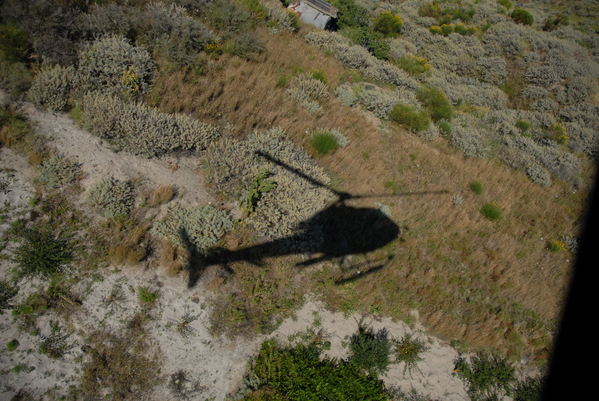 Helicopter Tours & Transfers