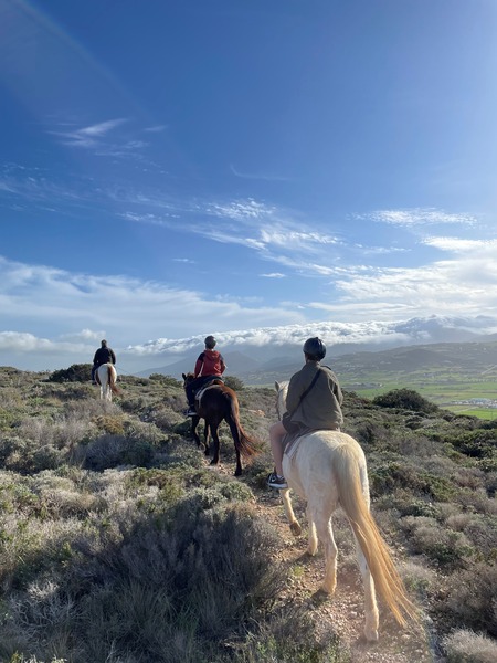 Horseback Riding