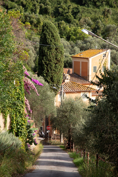 Guided City Walking Tours