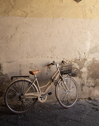 Scenic Bike Tours & Rentals
