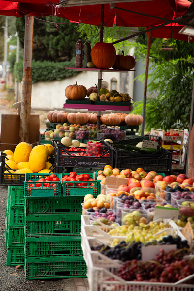 Authentic Street Food Tasting Tours