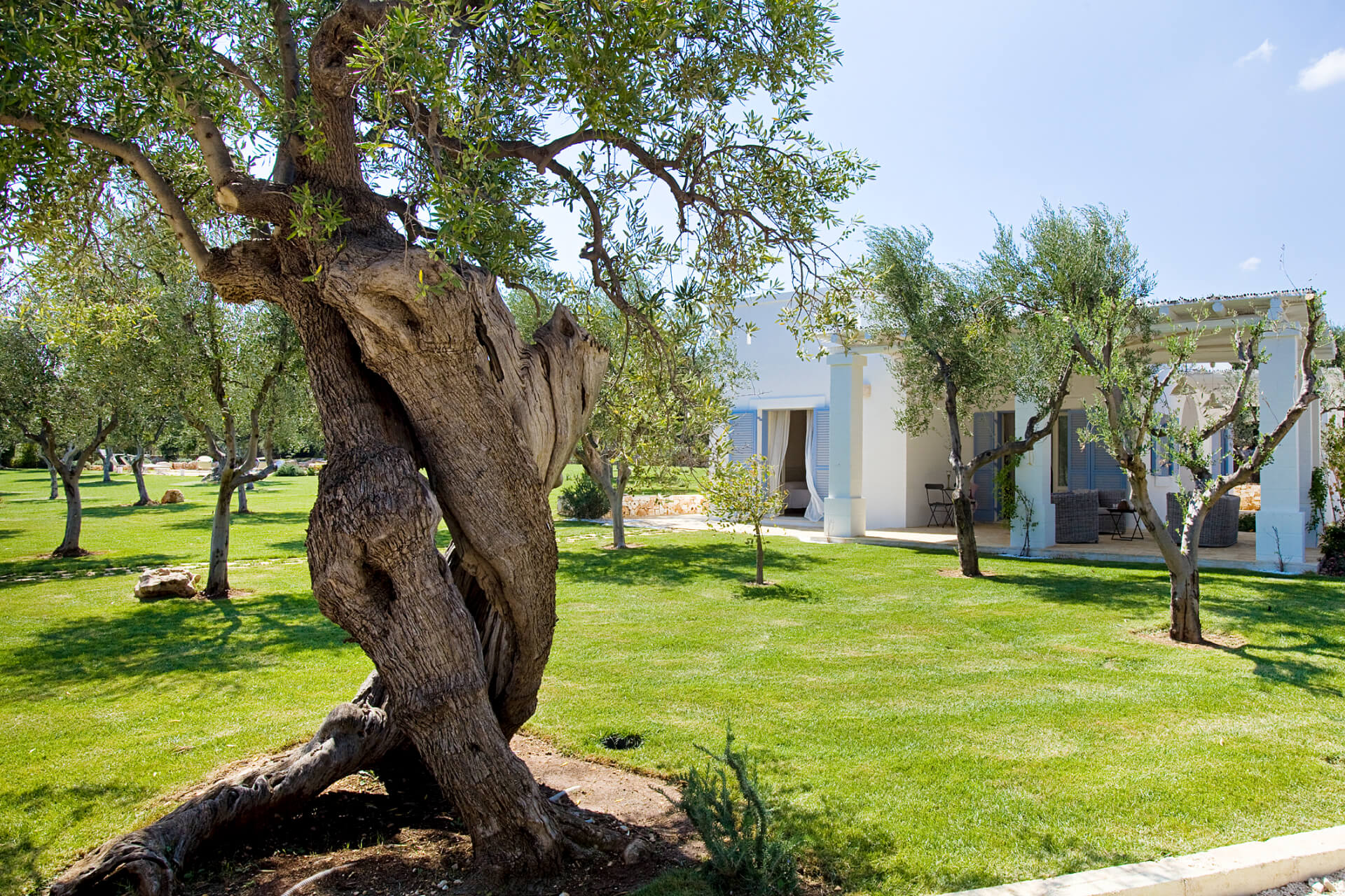 Trullo del Sale