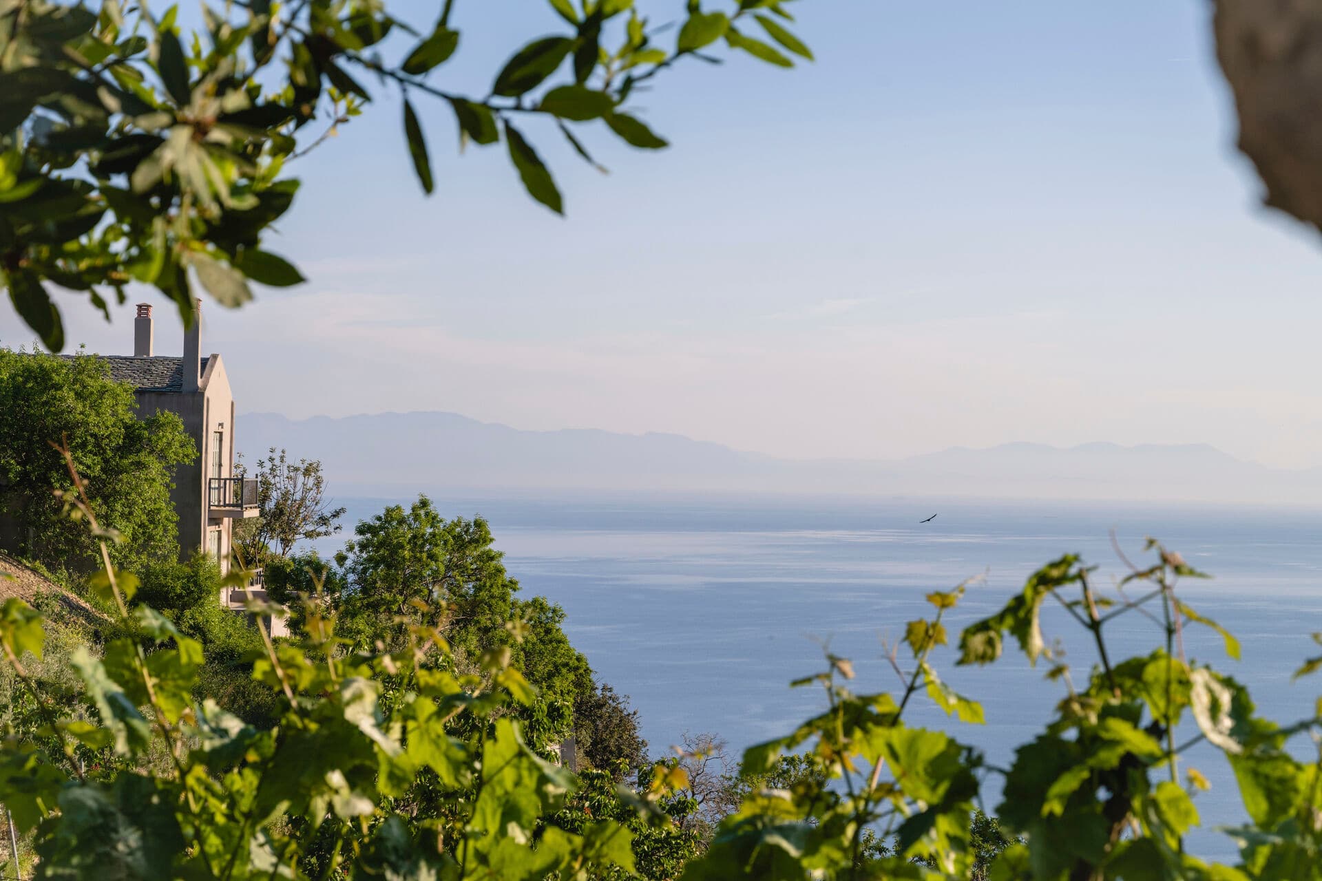 Exclusive Experiences in The Sporades Islands, Greece