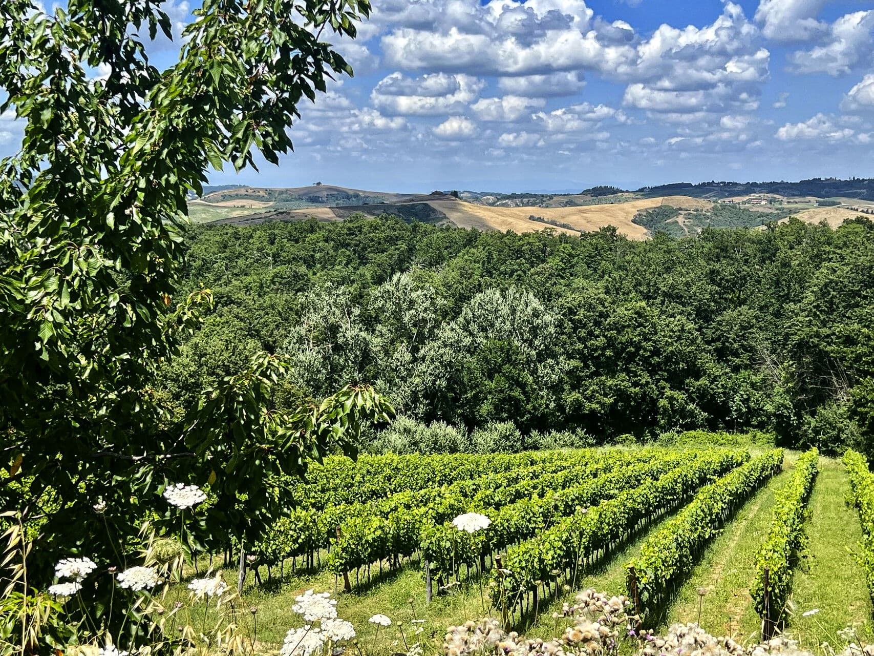 Travel to and around Tuscany