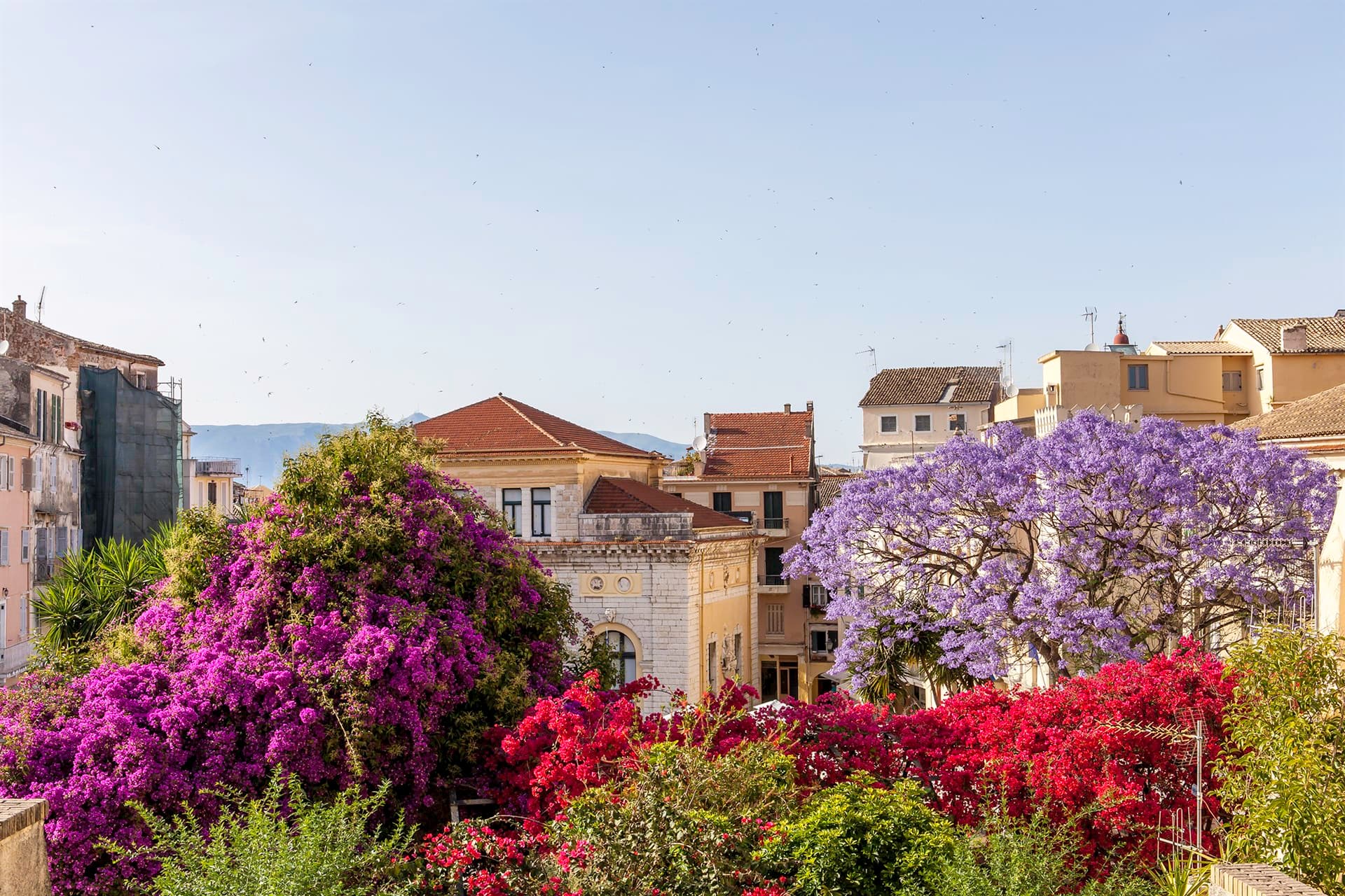 Corfu Town Travel Guide
