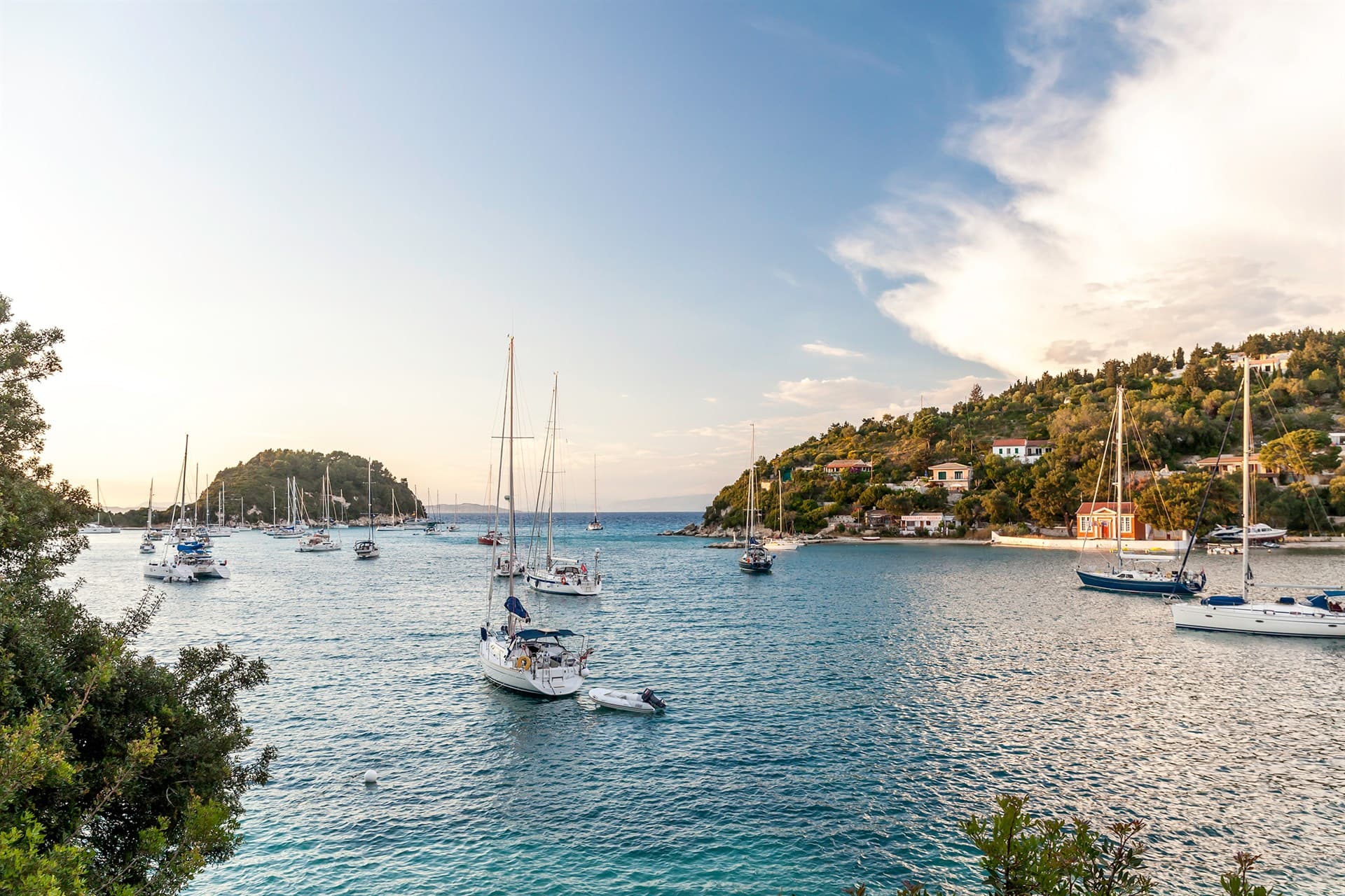 Areas of Paxos and Antipaxos