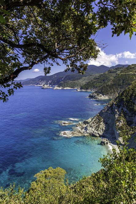 img:https://www.thethinkingtraveller.com/media/Resized/GREECE%20villas/Maistros/New%20edits/1000/TTT_Sporades_Skopelos_Maistros%20(18).jpg