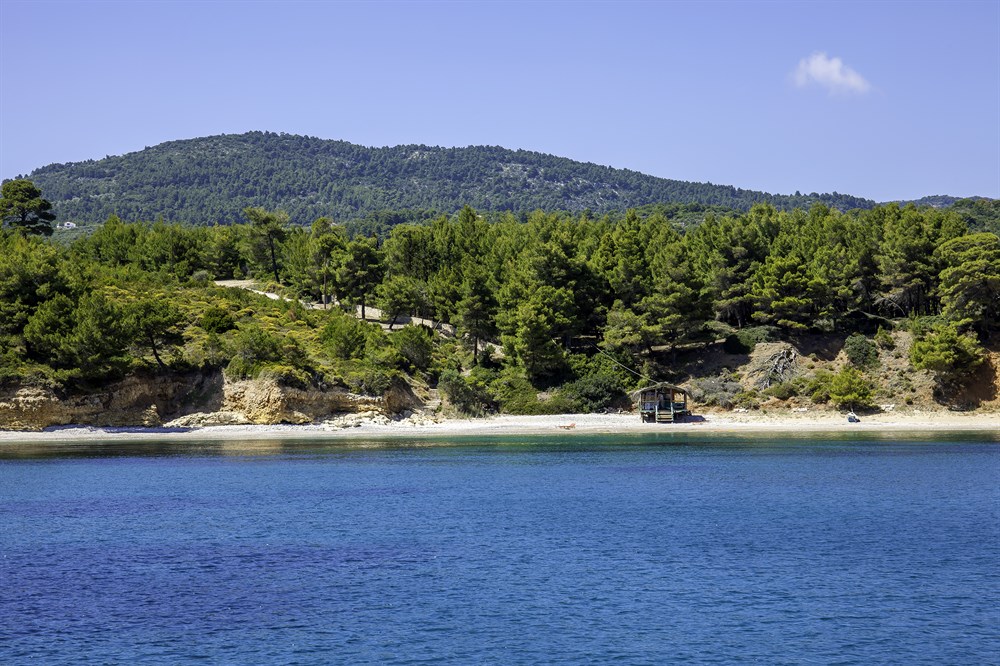 img:https://www.thethinkingtraveller.com/media/Resized/Greece%20Local%20Areas/Alonissos/Alonissos%20Marine%20Park%20-%20Slideshow/1000/Think_Sporades_Alonissos_LR_66.jpg