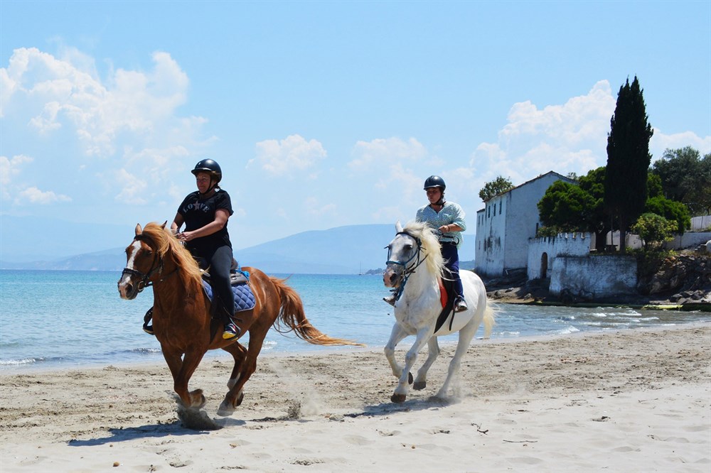 img:https://www.thethinkingtraveller.com/media/Resized/Greece%20Local%20Areas/Horse%20riding/1000/TE_Horse_riding_Corfu_Arena%2003.JPG