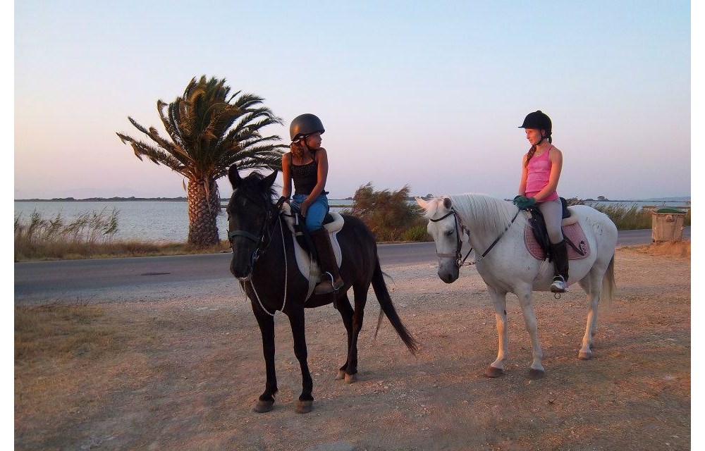img:/media/Resized/Greece%20Local%20Areas/Horse%20riding/1000/Think_Ionian_Islands_horse_riding%20(4).jpg