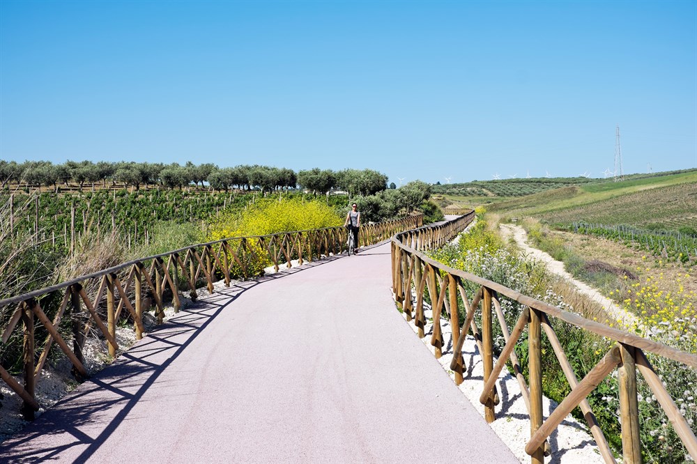 img:https://www.thethinkingtraveller.com/media/Resized/SICILY%20local%20areas/Menfi/Cycling%20in%20Menfi/1000/TTT_Sicily_Cycling_Menfi%20(2).jpg