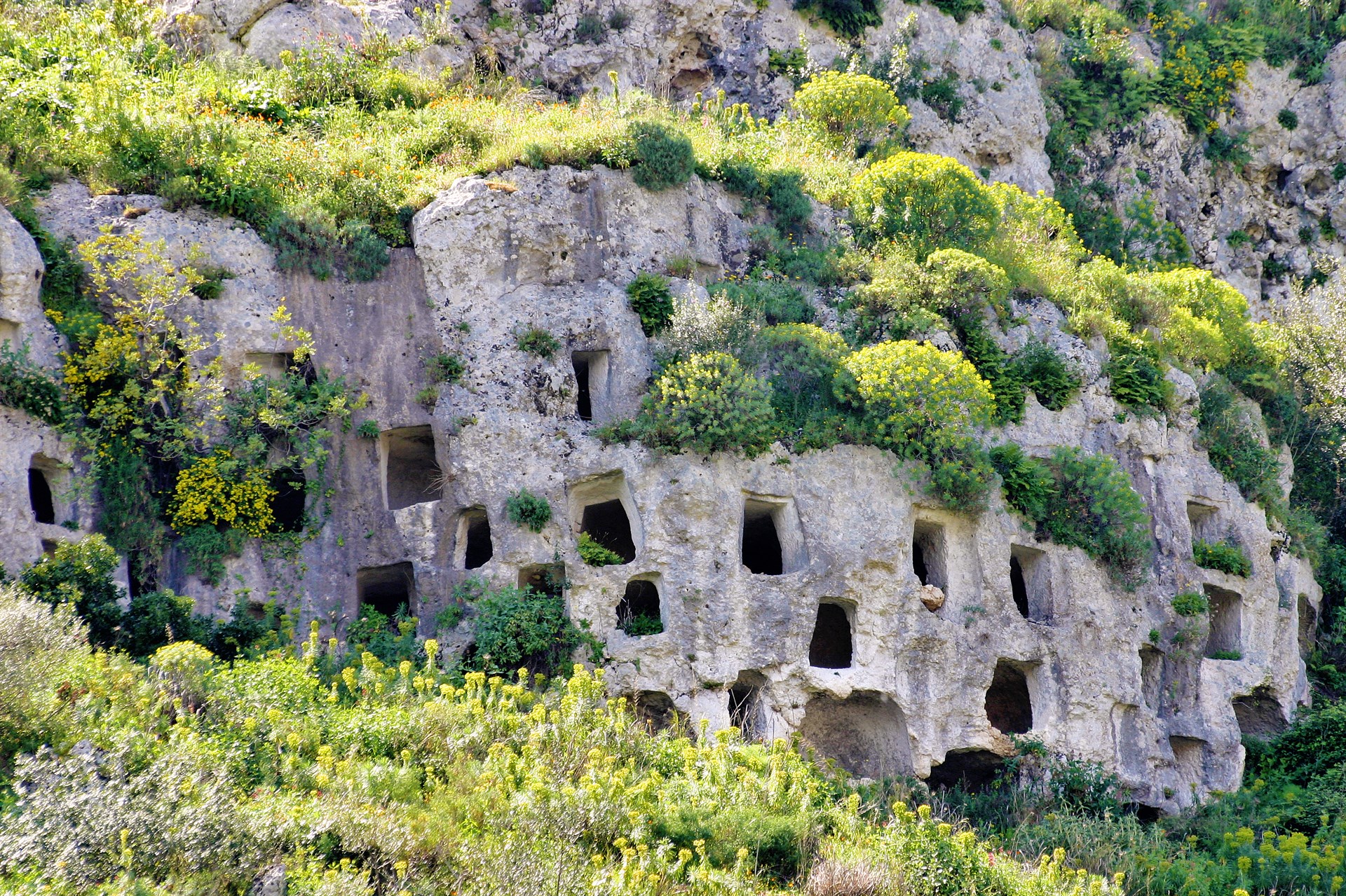 img:https://www.thethinkingtraveller.com/media/Resized/SICILY%20local%20areas/Pantalica/1920/pantalica%20%20(1).jpg