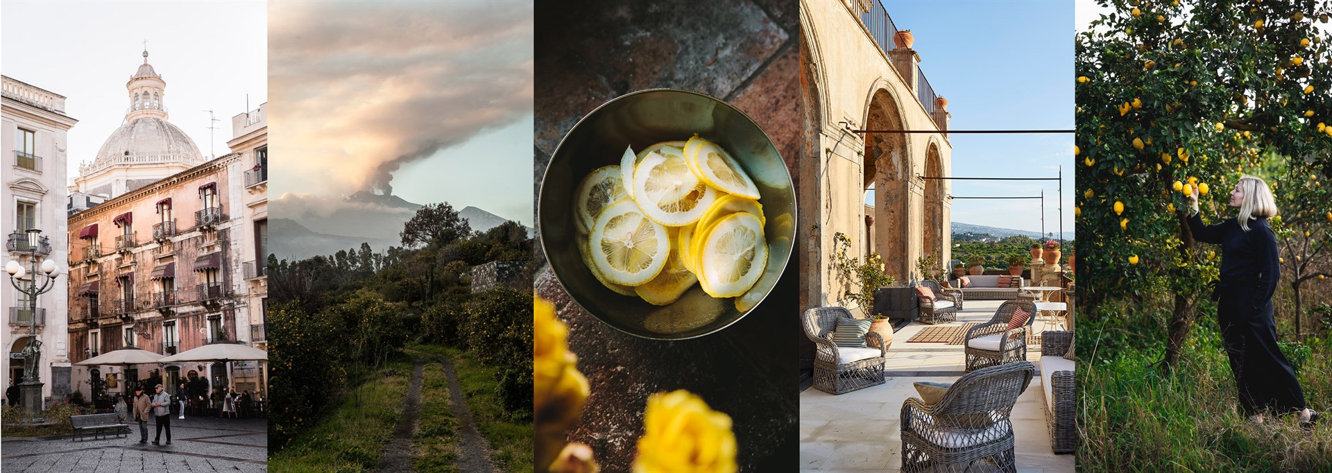 magasine, plate of pasta, oranges in a market